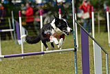 Canis zaterdag