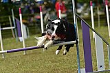 Canis zaterdag