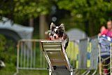 Canis zaterdag