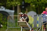 Canis zaterdag
