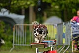 Canis zaterdag