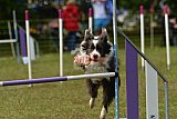 Canis zaterdag