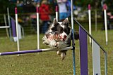 Canis zaterdag