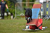 Canis zaterdag