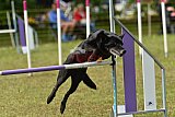 Canis zaterdag