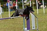 Canis zaterdag