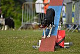 Canis zaterdag