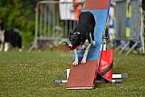 Canis zaterdag