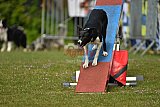 Canis zaterdag