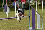 Canis zaterdag