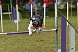 Canis zaterdag