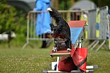 Canis zaterdag