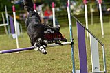 Canis zaterdag