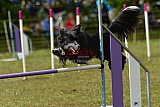Canis zaterdag