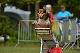Canis zaterdag