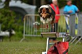 Canis zaterdag