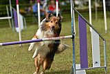 Canis zaterdag