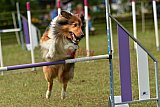 Canis zaterdag