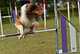 Canis zaterdag