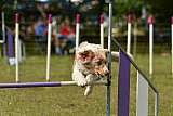 Canis zaterdag
