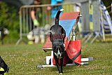 Canis zaterdag