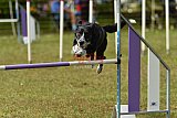 Canis zaterdag