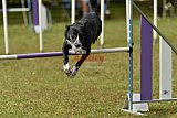 Canis zaterdag