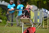 Canis zaterdag