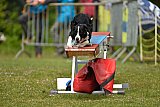Canis zaterdag