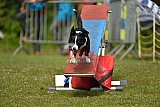 Canis zaterdag
