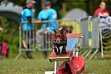 Canis zaterdag