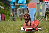 Canis zaterdag