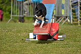 Canis zaterdag