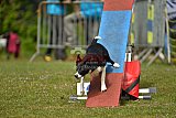 Canis zaterdag