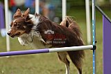 Canis zaterdag