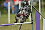 Canis zaterdag