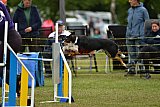 Canis zaterdag