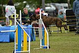 Canis zaterdag