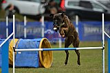 Canis zaterdag