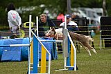 Canis zaterdag