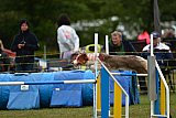 Canis zaterdag