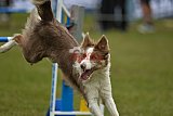 Canis zaterdag