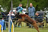 Canis zaterdag