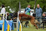 Canis zaterdag