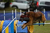 Canis zaterdag