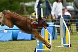Canis zaterdag