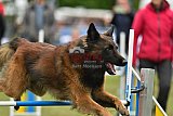 Canis zaterdag