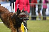 Canis zaterdag