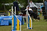 Canis zaterdag