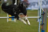 Canis zaterdag